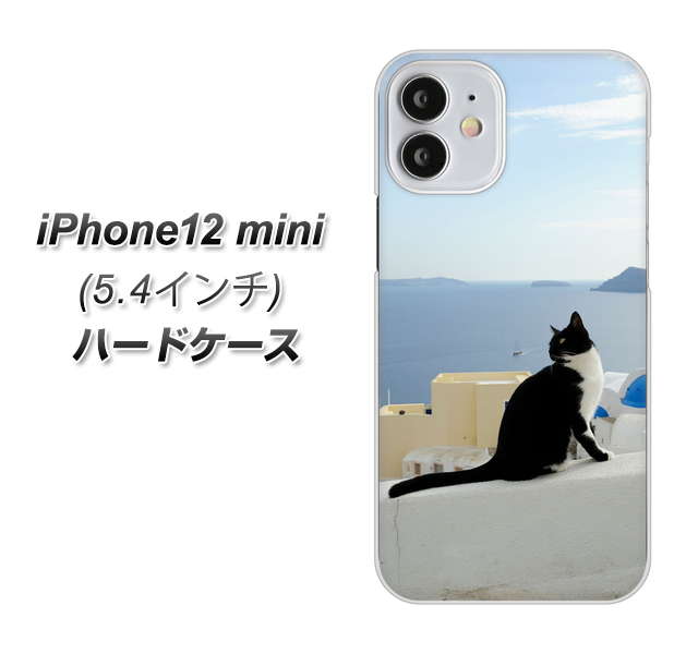 iPhone12 mini 高画質仕上げ 背面印刷 ハードケース 【VA805 ネコと地中海】