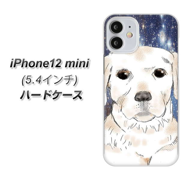 iPhone12 mini 高画質仕上げ 背面印刷 ハードケース【YD820 ラブラドールレトリバー01】