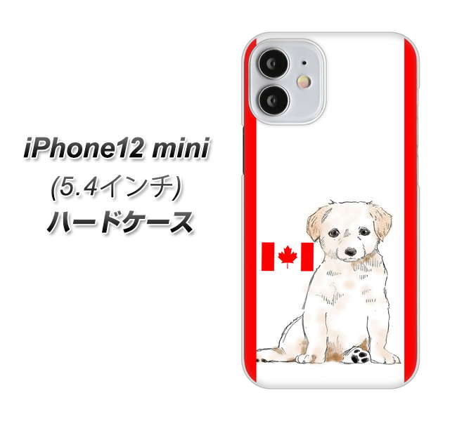 iPhone12 mini 高画質仕上げ 背面印刷 ハードケース【YD824 ラブラドールレトリバー05】