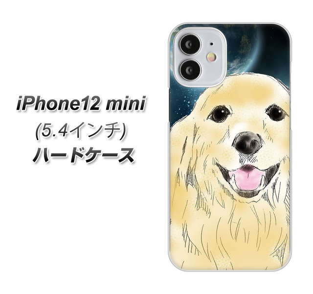 iPhone12 mini 高画質仕上げ 背面印刷 ハードケース【YD826 ゴールデンレトリバー02】