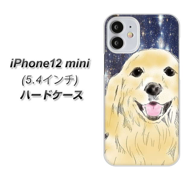 iPhone12 mini 高画質仕上げ 背面印刷 ハードケース【YD828 ゴールデンレトリバー04】