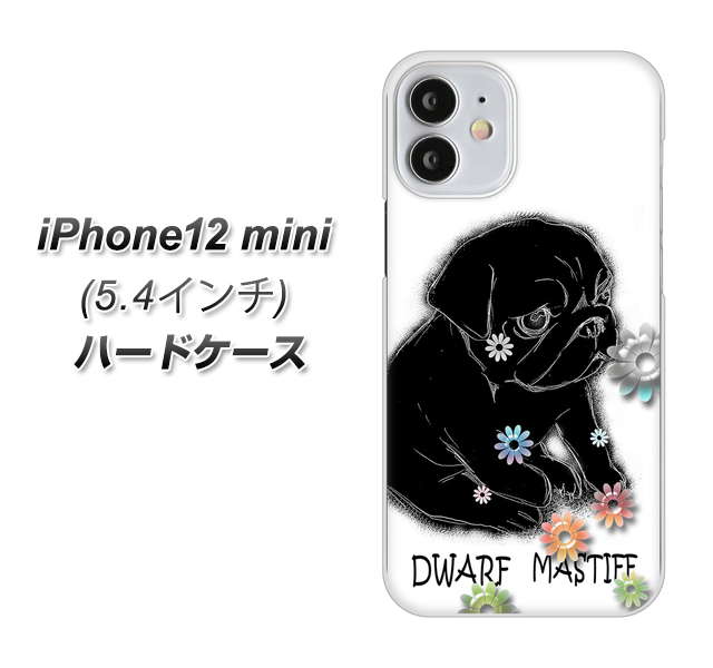 iPhone12 mini 高画質仕上げ 背面印刷 ハードケース【YD859 パグ05】