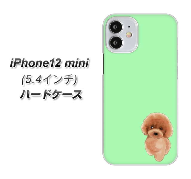 iPhone12 mini 高画質仕上げ 背面印刷 ハードケース【YJ052 トイプードルレッド（ グリーン）】