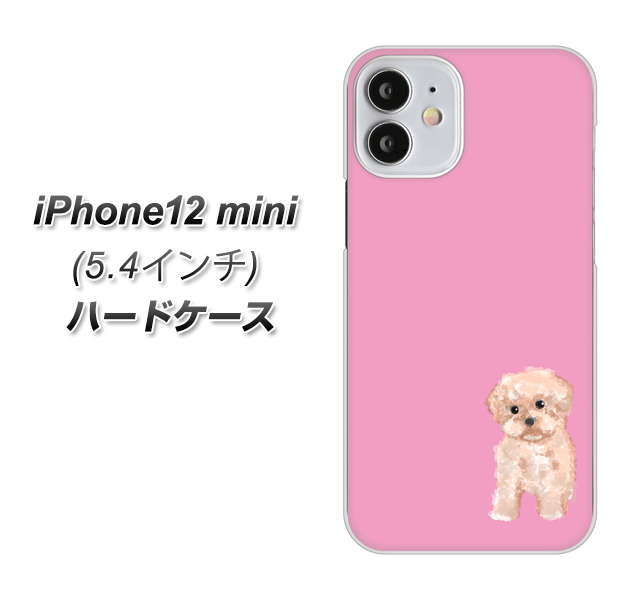 iPhone12 mini 高画質仕上げ 背面印刷 ハードケース【YJ061 トイプードルアプリコット（ピンク）】
