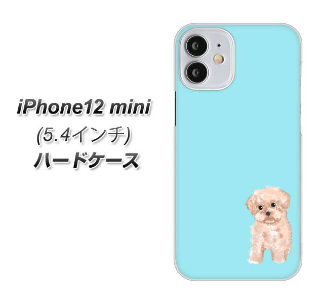 iPhone12 mini 高画質仕上げ 背面印刷 ハードケース【YJ062 トイプードルアプリコット（ブルー）】
