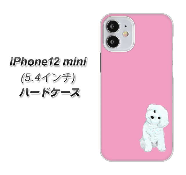iPhone12 mini 高画質仕上げ 背面印刷 ハードケース【YJ069 トイプードルホワイト（ピンク）】