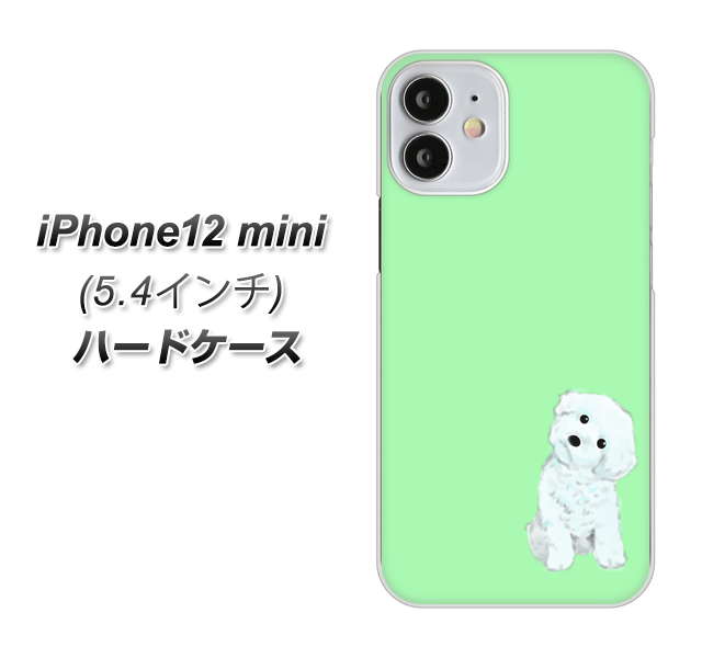 iPhone12 mini 高画質仕上げ 背面印刷 ハードケース【YJ071 トイプードルホワイト（グリーン）】