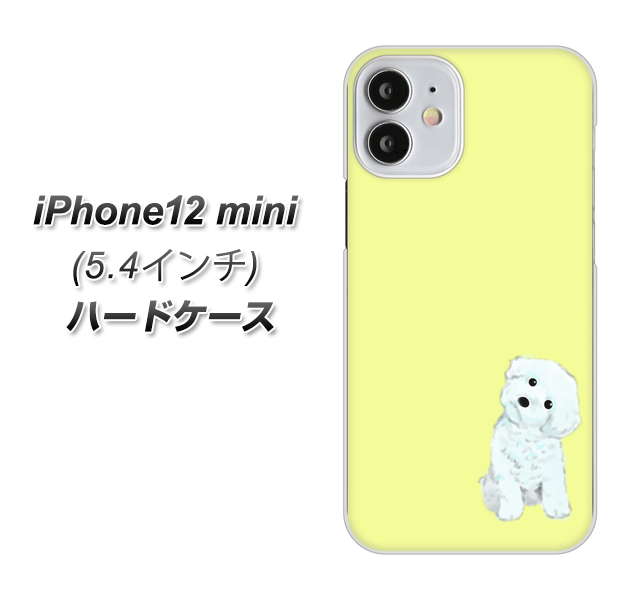 iPhone12 mini 高画質仕上げ 背面印刷 ハードケース【YJ072 トイプードルホワイト（イエロー）】