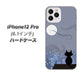 iPhone12 Pro 高画質仕上げ 背面印刷 ハードケース【012 屋根の上のねこ】