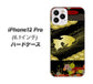 iPhone12 Pro 高画質仕上げ 背面印刷 ハードケース 【174 天の川の金魚】