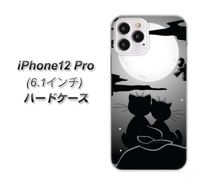 iPhone12 Pro 高画質仕上げ 背面印刷 ハードケース【342 月夜の二人】