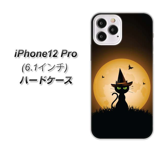 iPhone12 Pro 高画質仕上げ 背面印刷 ハードケース【440 猫の魔法使い】