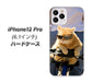iPhone12 Pro 高画質仕上げ 背面印刷 ハードケース 【595 にゃんとサイクル】