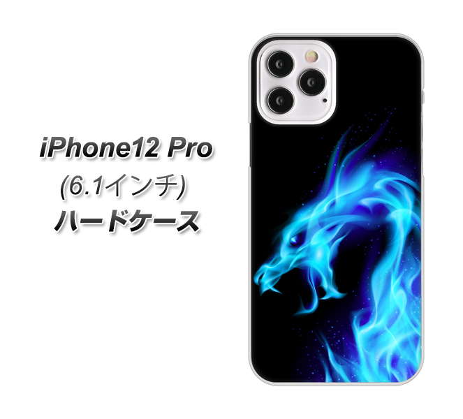 iPhone12 Pro 高画質仕上げ 背面印刷 ハードケース【616 ドラゴンの叫び】
