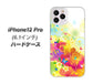 iPhone12 Pro 高画質仕上げ 背面印刷 ハードケース【647 ハイビスカスと蝶】