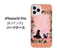 iPhone12 Pro 高画質仕上げ 背面印刷 ハードケース【1096 お姫様とネコ（カラー）】