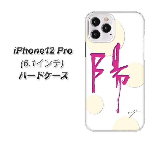 iPhone12 Pro 高画質仕上げ 背面印刷 ハードケース【OE833 陽】
