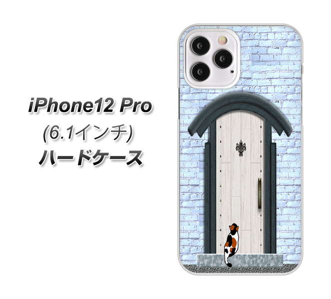 iPhone12 Pro 高画質仕上げ 背面印刷 ハードケース【YA951 石ドア01】