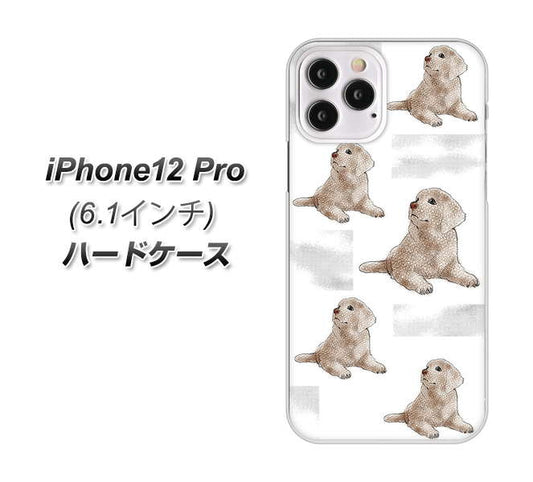 iPhone12 Pro 高画質仕上げ 背面印刷 ハードケース【YD823 ラブラドールレトリバー04】