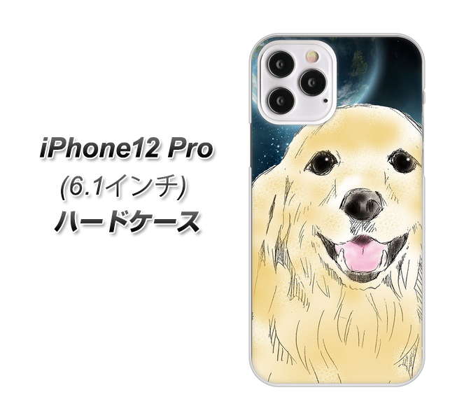iPhone12 Pro 高画質仕上げ 背面印刷 ハードケース【YD826 ゴールデンレトリバー02】