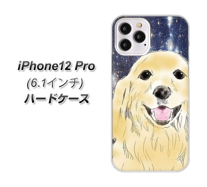 iPhone12 Pro 高画質仕上げ 背面印刷 ハードケース【YD828 ゴールデンレトリバー04】