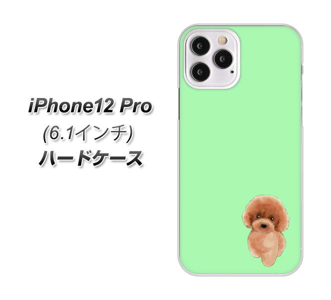 iPhone12 Pro 高画質仕上げ 背面印刷 ハードケース【YJ052 トイプードルレッド（ グリーン）】