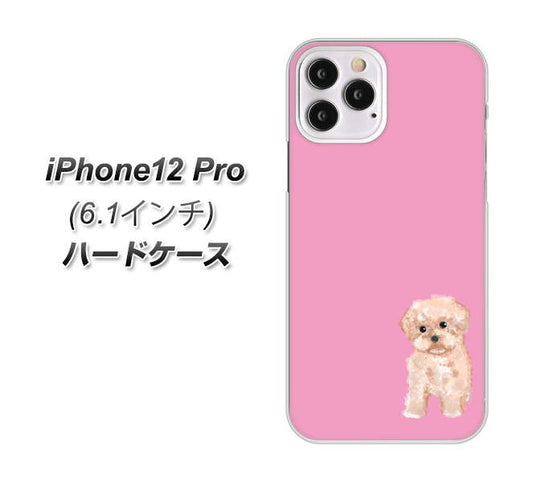 iPhone12 Pro 高画質仕上げ 背面印刷 ハードケース【YJ061 トイプードルアプリコット（ピンク）】