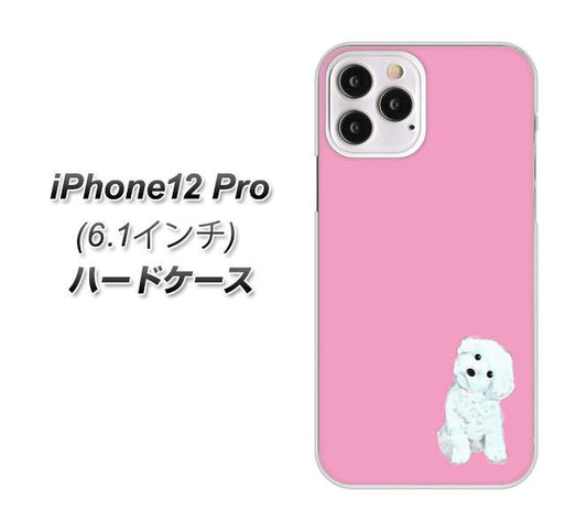 iPhone12 Pro 高画質仕上げ 背面印刷 ハードケース【YJ069 トイプードルホワイト（ピンク）】
