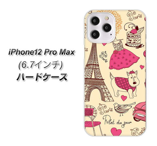 iPhone12 Pro Max 高画質仕上げ 背面印刷 ハードケース【265 パリの街】