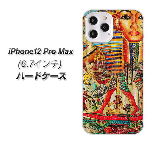 iPhone12 Pro Max 高画質仕上げ 背面印刷 ハードケース 【329 ナイル ツタンカーメン】