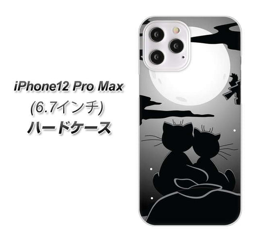 iPhone12 Pro Max 高画質仕上げ 背面印刷 ハードケース【342 月夜の二人】
