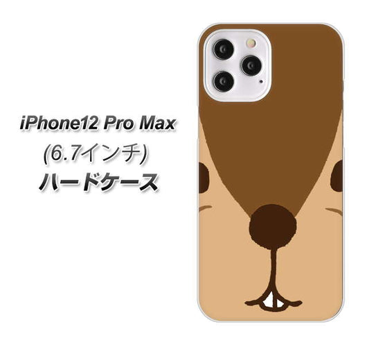 iPhone12 Pro Max 高画質仕上げ 背面印刷 ハードケース【349 りす】