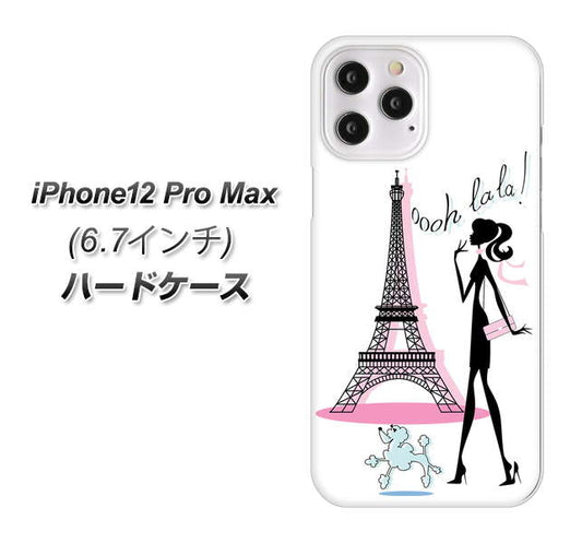 iPhone12 Pro Max 高画質仕上げ 背面印刷 ハードケース【377 エレガント】