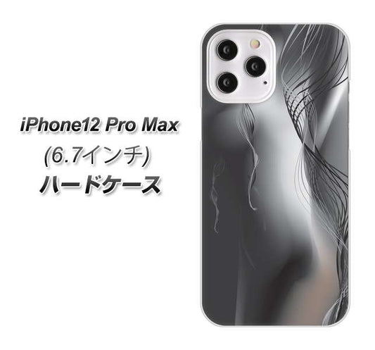 iPhone12 Pro Max 高画質仕上げ 背面印刷 ハードケース 【566 ボディウォール】