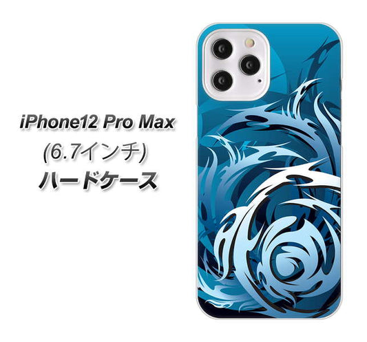 iPhone12 Pro Max 高画質仕上げ 背面印刷 ハードケース 【731 ドラゴンサークル】