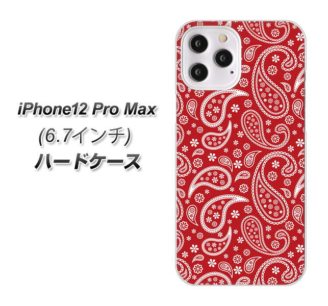 iPhone12 Pro Max 高画質仕上げ 背面印刷 ハードケース【765 ペイズリーエンジ】