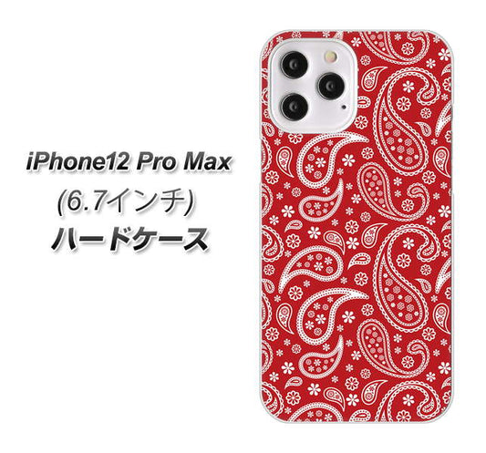 iPhone12 Pro Max 高画質仕上げ 背面印刷 ハードケース【765 ペイズリーエンジ】