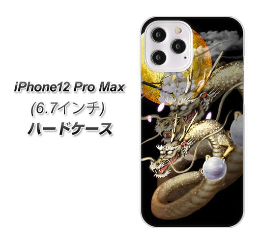 iPhone12 Pro Max 高画質仕上げ 背面印刷 ハードケース【1003 月と龍】