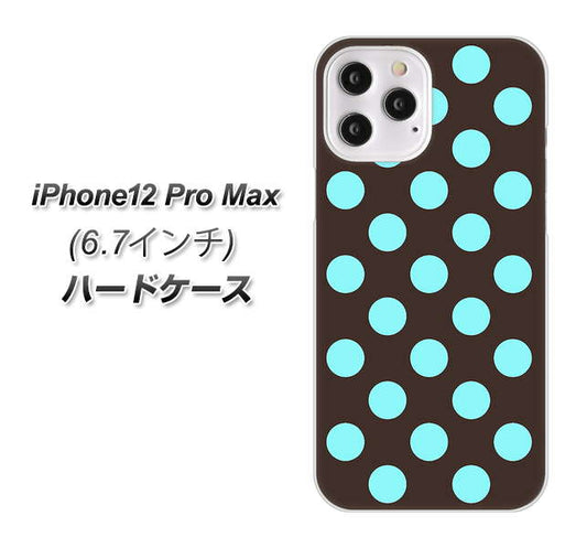 iPhone12 Pro Max 高画質仕上げ 背面印刷 ハードケース【1352 シンプルビッグ水色茶】