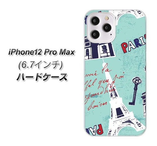 iPhone12 Pro Max 高画質仕上げ 背面印刷 ハードケース【EK812 ビューティフルパリブルー】