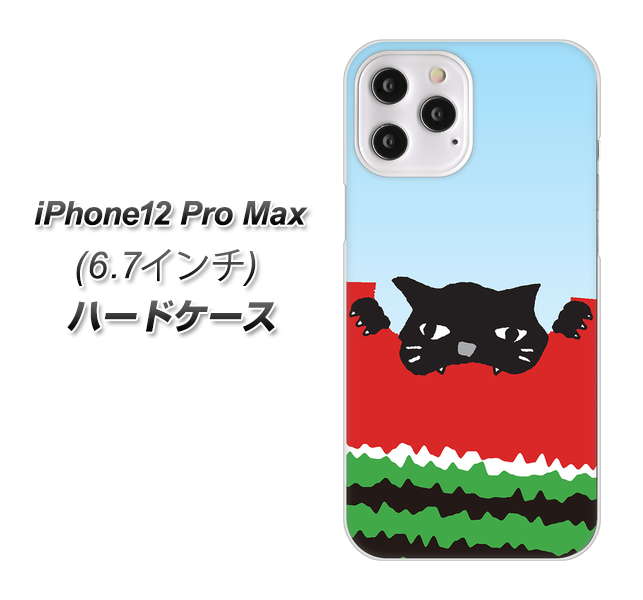 iPhone12 Pro Max 高画質仕上げ 背面印刷 ハードケース【IA815 すいかをかじるネコ(大)】