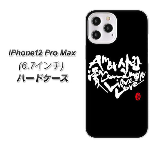 iPhone12 Pro Max 高画質仕上げ 背面印刷 ハードケース【OE802 世界の言葉で「愛（ブラック）」のデザイン筆文字（書道家作品）】