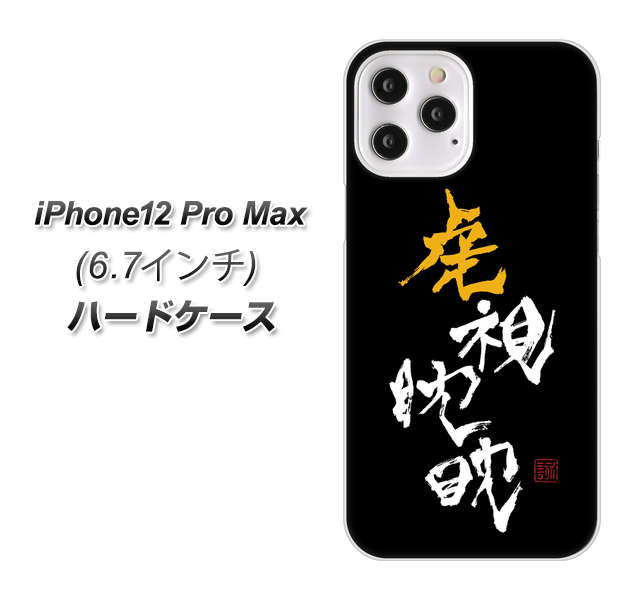 iPhone12 Pro Max 高画質仕上げ 背面印刷 ハードケース【OE803 虎視眈々】