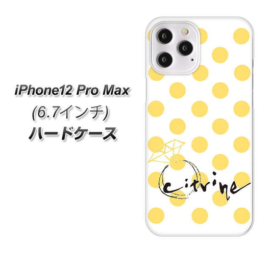 iPhone12 Pro Max 高画質仕上げ 背面印刷 ハードケース【OE820 11月シトリン】