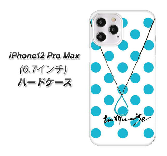 iPhone12 Pro Max 高画質仕上げ 背面印刷 ハードケース【OE821 12月ターコイズ】
