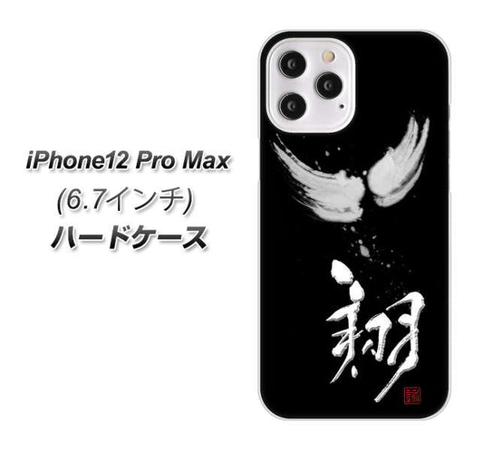 iPhone12 Pro Max 高画質仕上げ 背面印刷 ハードケース【OE826 翔】