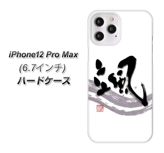 iPhone12 Pro Max 高画質仕上げ 背面印刷 ハードケース【OE827 颯】