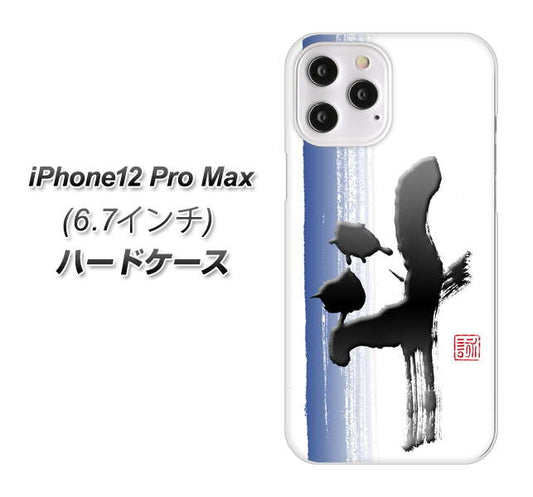 iPhone12 Pro Max 高画質仕上げ 背面印刷 ハードケース【OE829 斗】