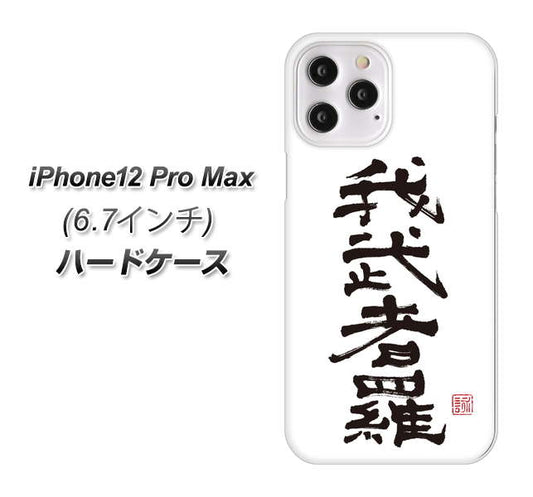 iPhone12 Pro Max 高画質仕上げ 背面印刷 ハードケース【OE843 我武者羅（がむしゃら）】
