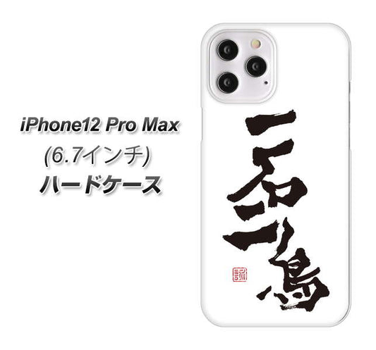 iPhone12 Pro Max 高画質仕上げ 背面印刷 ハードケース【OE844 一石二鳥】